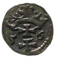 denar 1556, Gdańsk, T. 8, rzadki