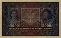 5.000 marek polskich 7.02.1920, II seria AN, Miłczak 31b, Lucow 417 (R2)
