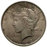 dolar 1923, Filadelfia, piękny egzemplarz