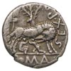 Sex. Pompeius 137 pne, denar, Aw: Głowa Romy w prawo, Rw: Wilczyca karmiąca bliźnięta, pasterz i d..
