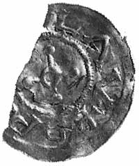 zespół 9 monet z XI wieku będących w obiegu na z