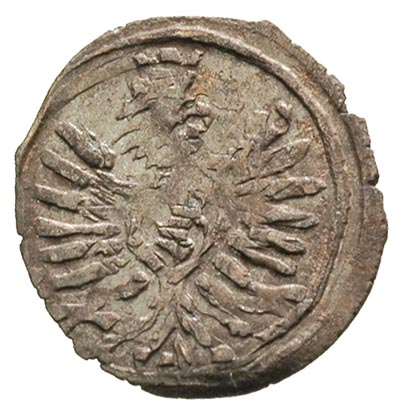 denar 1604, Poznań, T.35, centrycznie wybity, ba