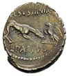 L. Papius Celsus, denar 45 pne, Aw: Głowa Juno Sospita okryta koźlą skórą, Rw: Wilczyca podkładają..