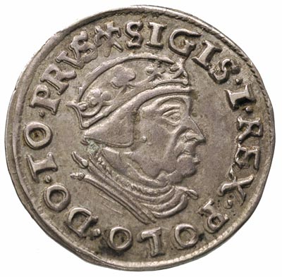 trojak 1539, Gdańsk, korona króla bez krzyżyka, awers Iger G.39.e, rewers Iger G.39.c, bardzo ładny egzemplarz z delikatną patyną