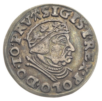trojak 1539, Gdańsk, Iger G.39.1.c (R1), patyna