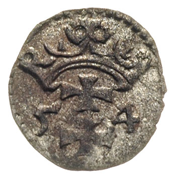 denar 1554, Gdańsk, T. 8, rzadki