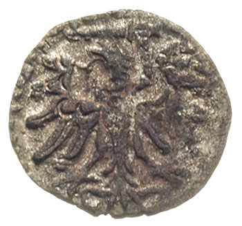 denar 1554, Gdańsk, T. 8, rzadki