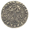 grosz 1536, Wilno, odmiana z literą M pod Pogonią, Ivanauskas 2S73-20, T. 7, rzadki, patyna