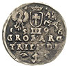 trojak 1596, Wilno, bardzo rzadka odmiana z gałązkami u dołu rewersu i małą głowa króla, Iger V.96..