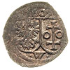denar jednostronny 1609, Wschowa, T.9