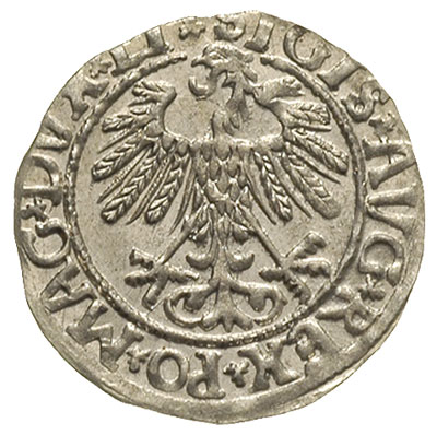 półgrosz 1558, Wilno, Ivanauskas 4SA84-24, piękny egzemplarz