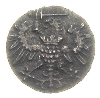 denar 1573, Gdańsk, kartusz tarczy herbowej z 7 łukami, T. 5, rzadki, ciemna patyna