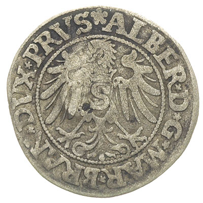 grosz 1534 Królewiec z kontrasygnatą miasta Gdańska wybitą w czasie oblężenia miasta w 1577 przez wojska króla Stefana Batorego, Bahr. podobny 8123, moneta z 21 aukcji WCN, bardzo rzadka