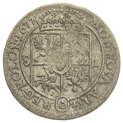 ort 1677, Bydgoszcz, odmiana z cyframi 8 - 1 po bokach tarczy herbowej, T. 4, rzadki, moneta z 21 aukcji WCN
