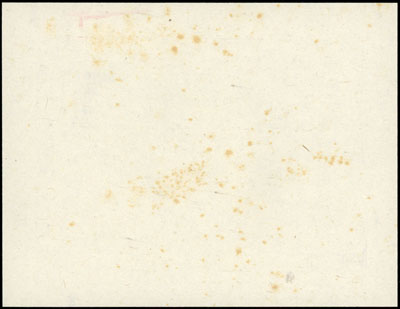 jednostronny próbny druk banknotu 20 złotych emisji 1.03.1926, wykonany w pracowni E. Gaspe, u dołu ZYGMUNT KAMIŃSKI INV. ET DEL. WARSZAWA 1925, Lucow 627 (R8), małe plamki, bardzo rzadkie