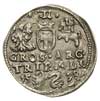 trojak 1598, Wilno, bardzo rzadka odmiana trojaka z herbem Łabędź po prawej stronie głowy wołowej,..