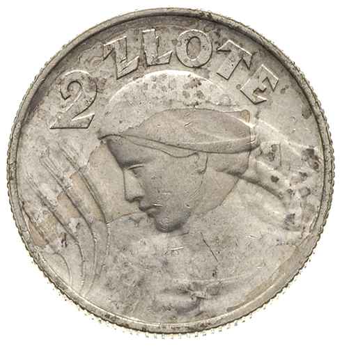 2 złote 1924, Birmingham, litera H po dacie, Parchimowicz 109.b, ładnie zachowana moneta z nierówną patyną