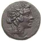 Pont, Amisos, brąz ok. 88-65, Aw: Głowa Dionizosa w diademie w prawo, Rw: Cista mystica, na której..