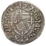 Konrad von Erlichshausen 1441-1449, szeląg, Aw: Tarcza wielkiego mistrza, MAGS - T COR - ADVS - QV..