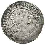 półgrosz 1545, Wilno, odmiana z Orłem na awersie