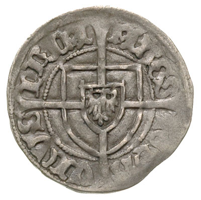 Paweł von Russdorf 1422-1441, szeląg, Aw: Tarcza