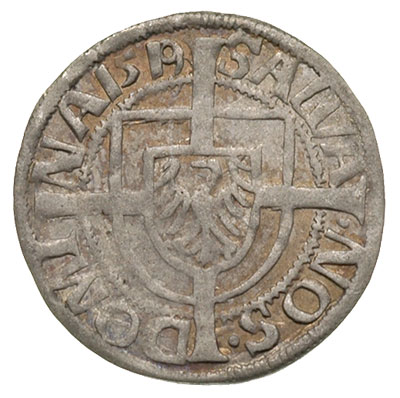 Albrecht von Hohenzollern 1511-1525, grosz 1519,