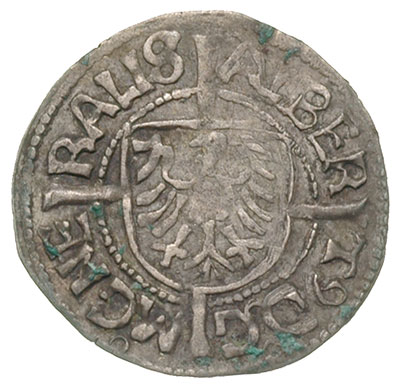 Albrecht von Hohenzollern 1511-1525, grosz 1521, Aw: Tarcza z Orłem brandenburskim i napis, Rw:Tarcza wielkiego mistrza i napis oraz data, srebro 1.35 g, Neumann 34, Vossberg 1256, lekko zgięty