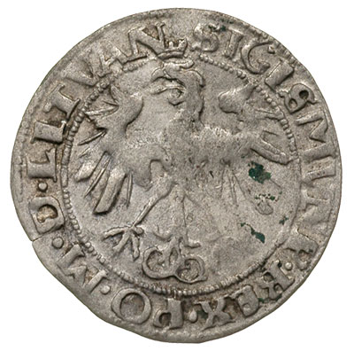 grosz 1536, Wilno, odmiana z literą I pod Pogonią, awers nie notowany w 1536 u Ivanauskasa, rewers Ivanauskas 2S44-14, T. 7, rzadki
