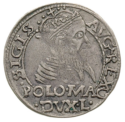 grosz na stopę polską 1566, Tykocin, Ivanauskas 5SA13-6, patyna
