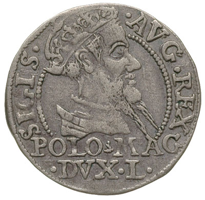 grosz na stopę polską 1568, Tykocin, Ivanauskas 5SA49-14