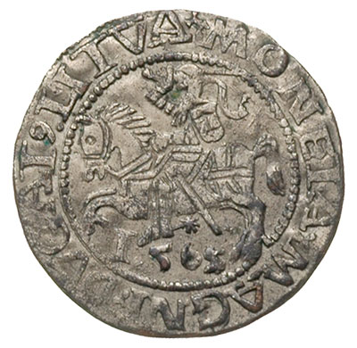 fałszerstwo z epoki półgrosza 1565, Wilno, odmiana bez herbu Topór, T. 8, srebro 1.05 g, duża rzadkość