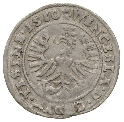 grosz 1560, Cieszyn, małe litery w napisie otoko