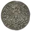 Albrecht Hohenzollern 1525-1568, grosz 1542, Królewiec, Bahr. 1182, Neumann 46, patyna
