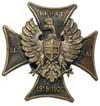 odznaka pamiątkowa Front Litewsko - Białoruski, mosiądz 39x38 mm, Stela 14.1.12.c, nakrętka skorod..