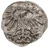 denar 1556, Wilno, Ivanauskas 2SA15-6, T.6, nieznaczna wada blachy