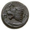 AE-19, IV-III w. pne, Aw: Głowa Satyra w lewo, Rw: Głowa lwa w lewo, pod nim jesiotr, wokoło ΠΑΝ, ..