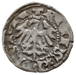 Władysław Jagiełło 1386-1434, zestaw półgroszy k
