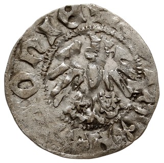 Władysław Jagiełło 1386-1434, zestaw półgroszy koronnych, ze znakami pod koroną: F‡ oraz W‡, razem 2 sztuki