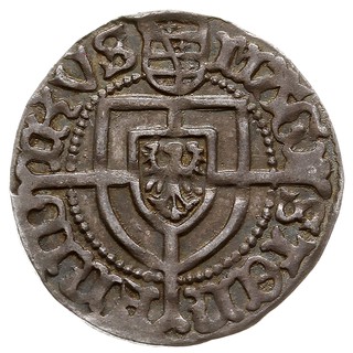 Fryderyk Saski 1498-1510, grosz, MAGI-STER-FRID-IKVS / MONE-TA DN-ORVM-PRVS, Voss. 1137, bardzo ładny i bardzo rzadki, patyna