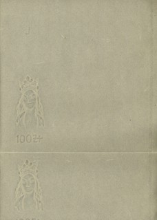 arkusz papieru do druku banknotów 100 złotych emisji 9.11.1934, papier z dziewięcioma pełnymi znakami wodnymi, ciekawe krzyżyki w znaku wodnym jako dodatkowe zabezpieczenie przeciwko fałszerstwu, Lucow 672b - dołączone do kolekcji po wydrukowaniu katalogu, Miłczak - patrz 74, duża rzadkość