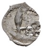 Witold 1392-1430, pieniądz (denar) 1413-1430, Wi