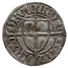 Paweł I Bellitzer von Russdorff 1422-1441, szeląg, MAGS-T XA-VIWS-PRVI / MONE-TA DN-ORVM-PRVC, Vos..