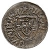 Henryk VI Reuss von Plauen 1467-1469 - jako zarządca, szeląg, HINRIC.. .OCVTENES M / MONETA DNORVM..