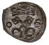denar 1606, Poznań, T. 4, bardzo ładny, delikatn