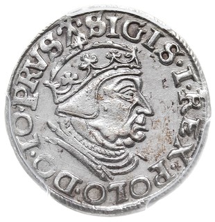 trojak 1539, Gdańsk, awers Iger G.39.1.e, rewers nie ujęty w katalogu Igera -bez ozdobników po bokach cyfry III i daty, moneta w pudełku PCGS z certyfikatem MS 62, minimalne ryski w tle, pięknie zachowana