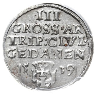 trojak 1539, Gdańsk, awers Iger G.39.1.e, rewers nie ujęty w katalogu Igera -bez ozdobników po bokach cyfry III i daty, moneta w pudełku PCGS z certyfikatem MS 62, minimalne ryski w tle, pięknie zachowana