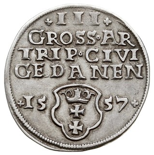 trojak 1557, Gdańsk, popiersie króla bez obwódki, Iger G.57.2.d (R3), T. 3, rzadki