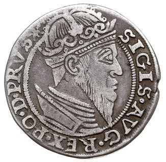 trojak 1557, Gdańsk, rzadka odmiana z popiersiem króla w obwódce, Iger G.57.1.b (R4), T. 3, patyna