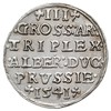 trojak 1541, Królewiec, Iger Pr.41.1.a (R), Neumann 42, bardzo ładny