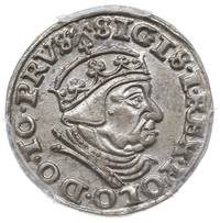 trojak 1540, Gdańsk, Iger G.40.1.e (R1), moneta w pudełku PCGS z certyfikatem MS 62, wyśmienity eg..